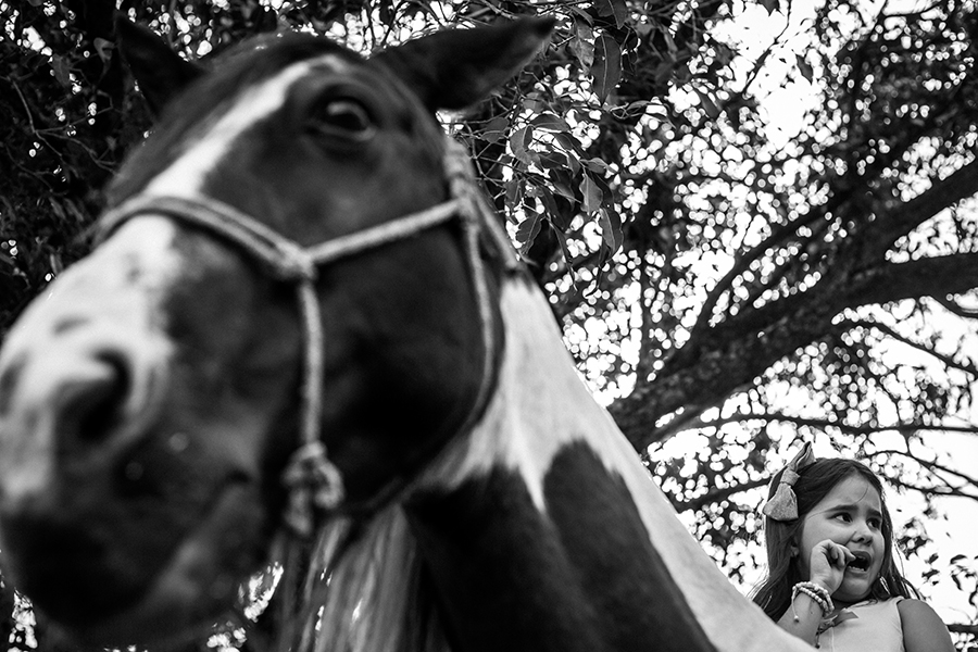 Abrir fotografia