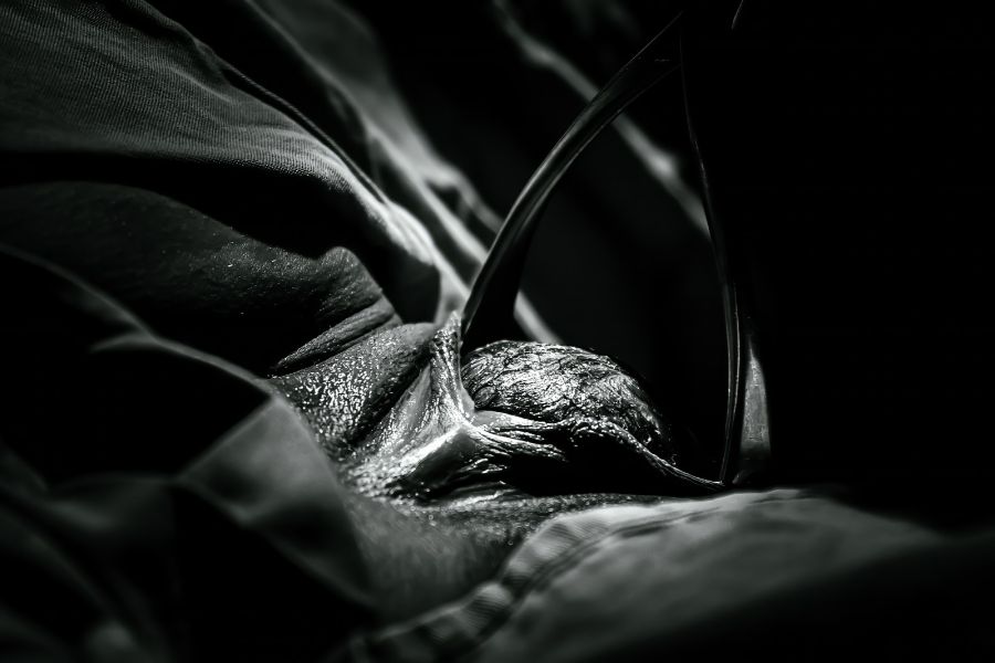 Abrir fotografia